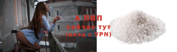 дживик Бородино