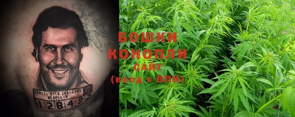 шишки Саяногорск