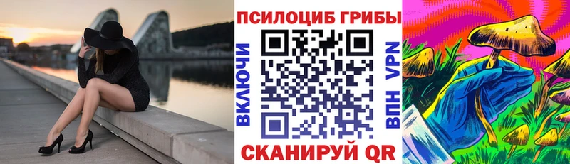 Галлюциногенные грибы мицелий Каменск-Шахтинский